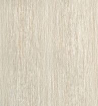 Обои Elitis Matt texture (RM 606 05)